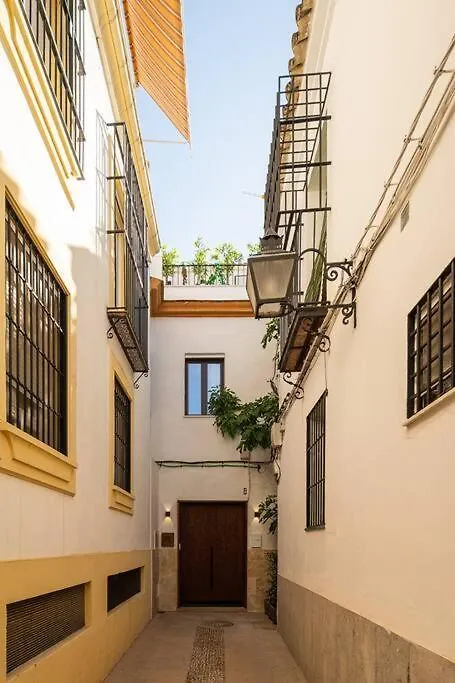 Apartamentos Premium - Arcos De Medina 101 Córdoba 0*,  España
