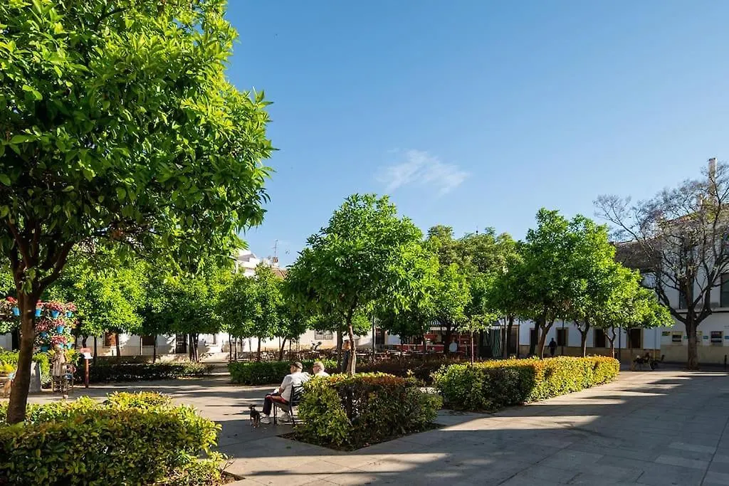 Apartamentos Premium - Arcos De Medina 101 Cordoba