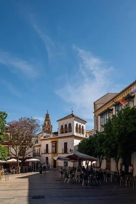 Apartamentos Premium - Arcos De Medina 101 Cordoba