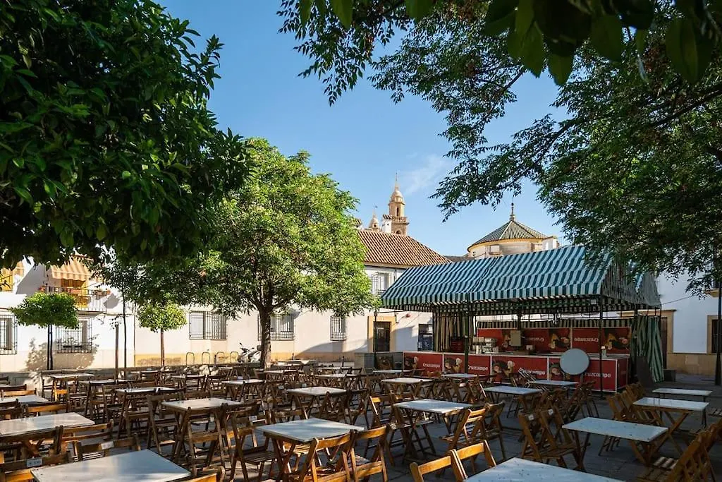 Apartamentos Premium - Arcos De Medina 101 科爾多瓦 西班牙